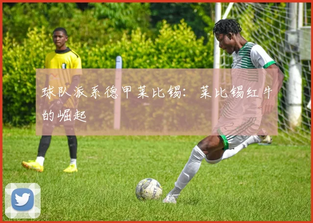 球队派系德甲莱比锡：莱比锡红牛的崛起